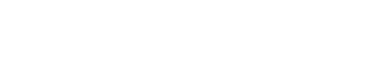 Shield Wall AI Logo